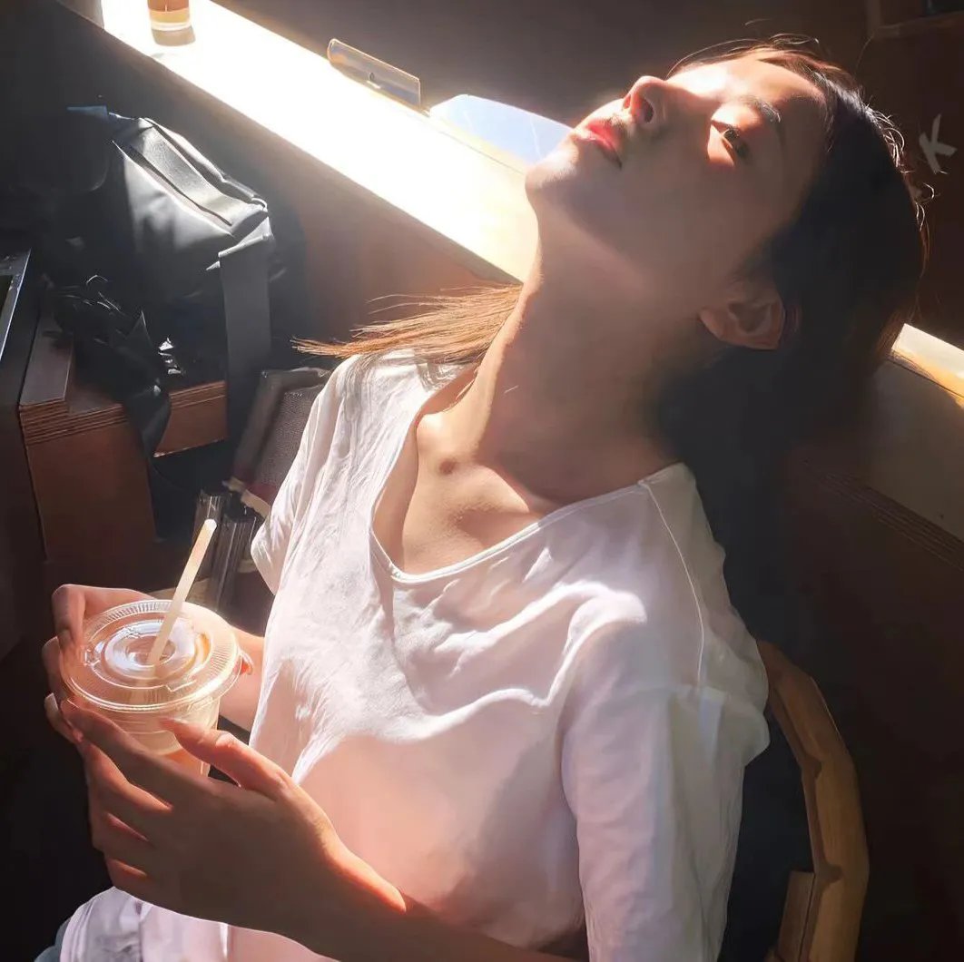 缉拿杨枪枪